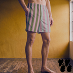 Model wearing mid-length swim trunks with vertical stripes in muted pastel pink, olive green, and pale blue, inspired by mid-century Palm Springs architecture.