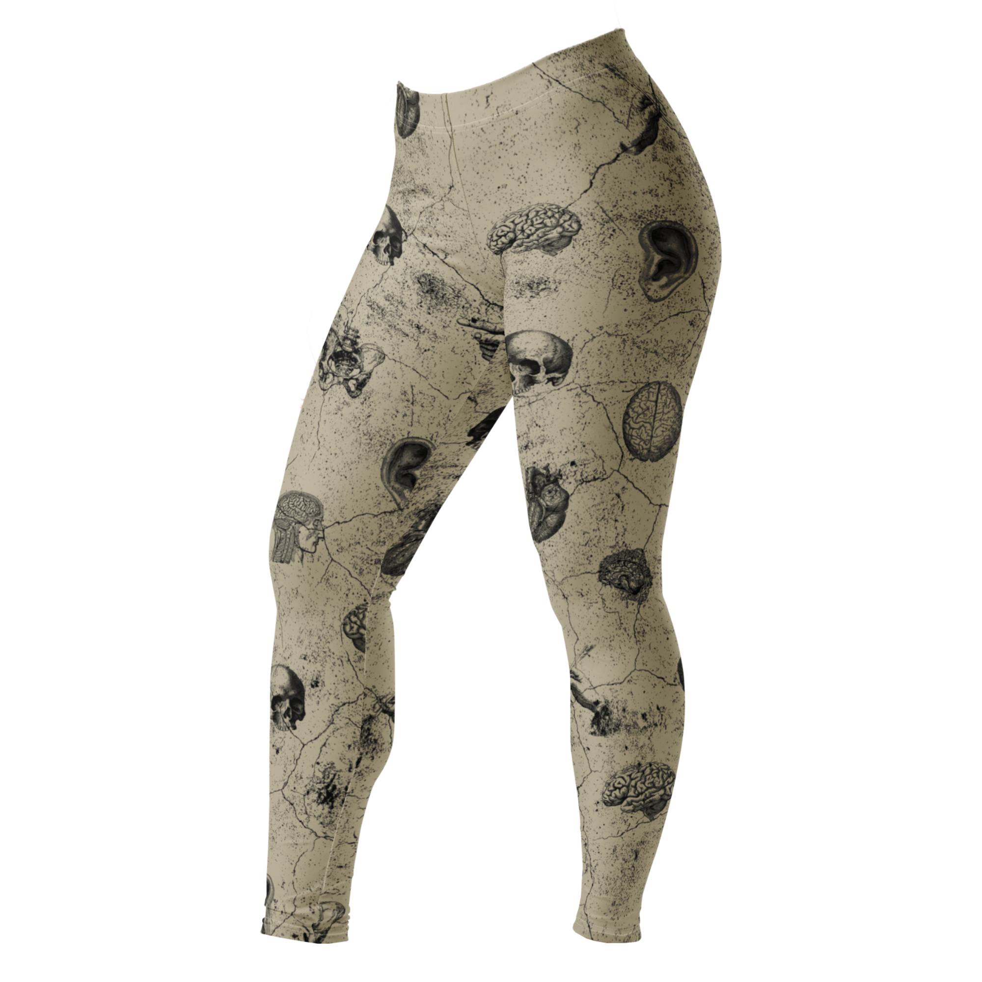 studio-yeye-anatomy-gothic-halloween-tights