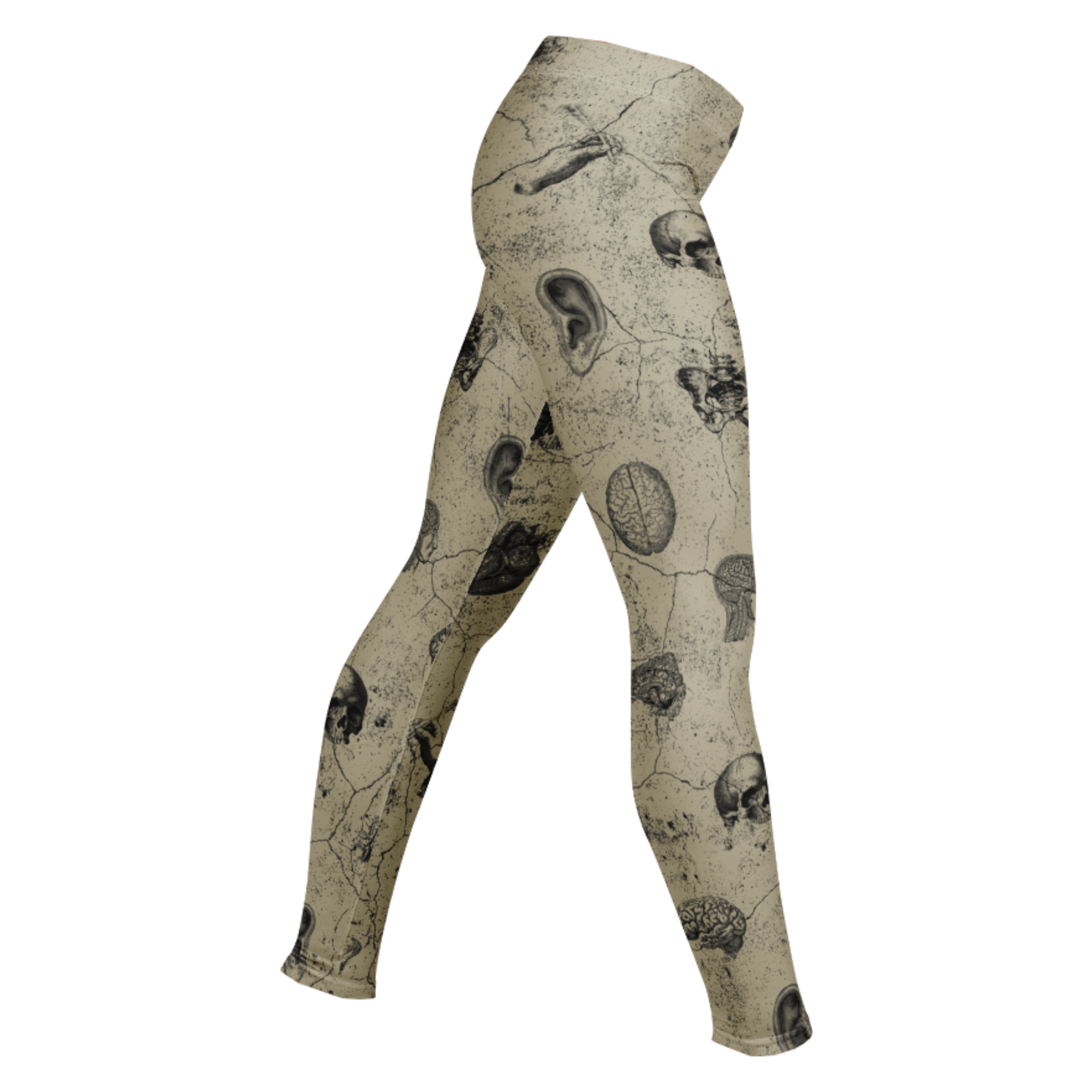 studio-yeye-anatomy-gothic-halloween-tights
