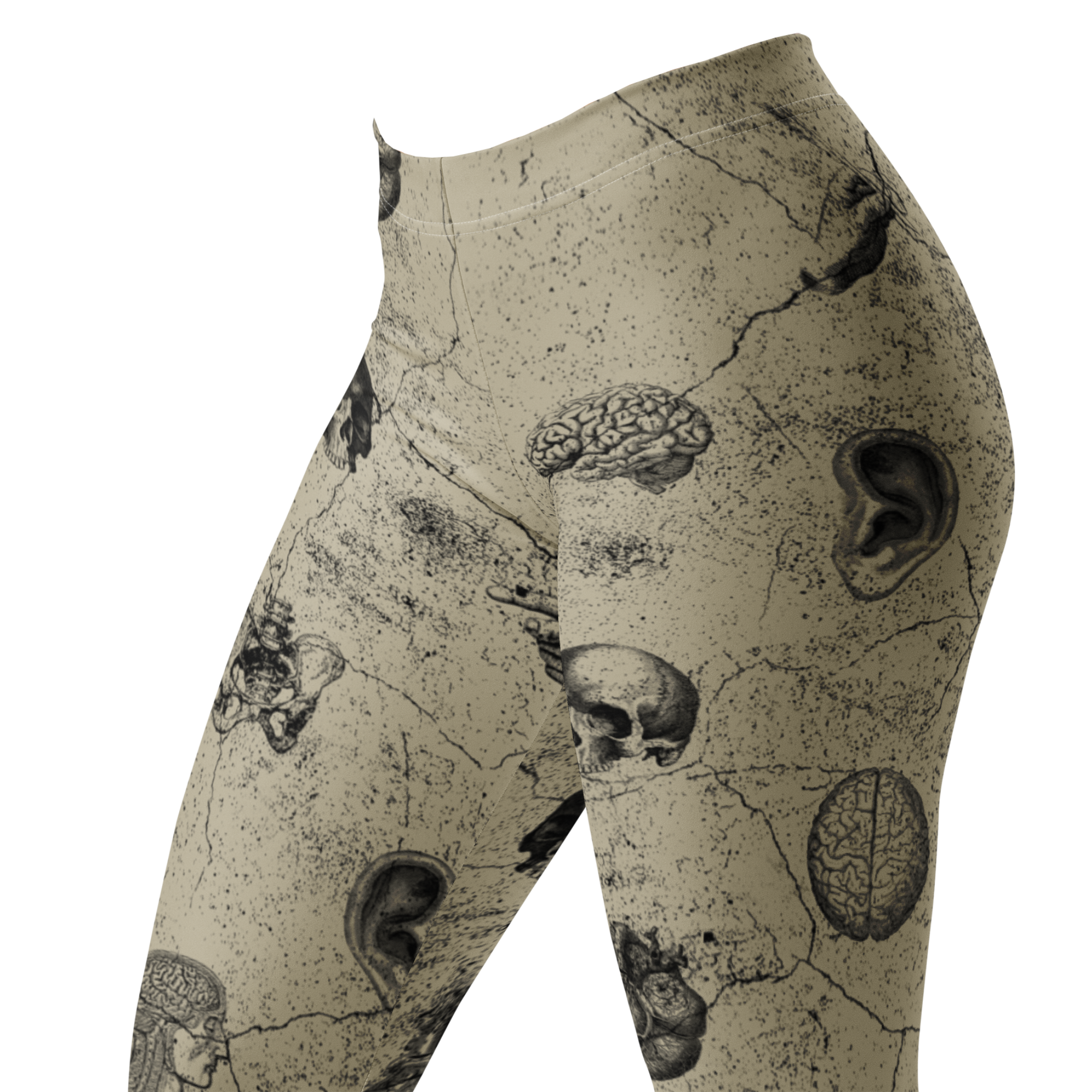 studio-yeye-anatomy-gothic-halloween-tights