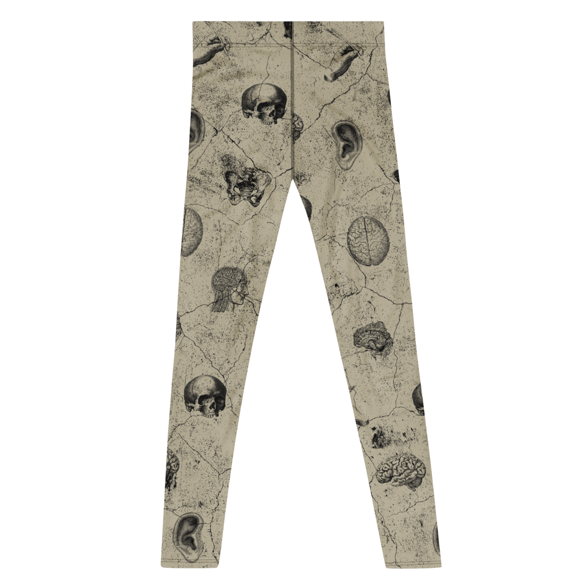studio-yeye-mens-leggings-anatomy-cabinet